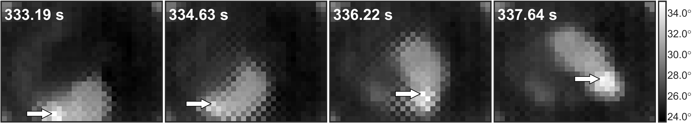 HabiTrak thermal image sequence
