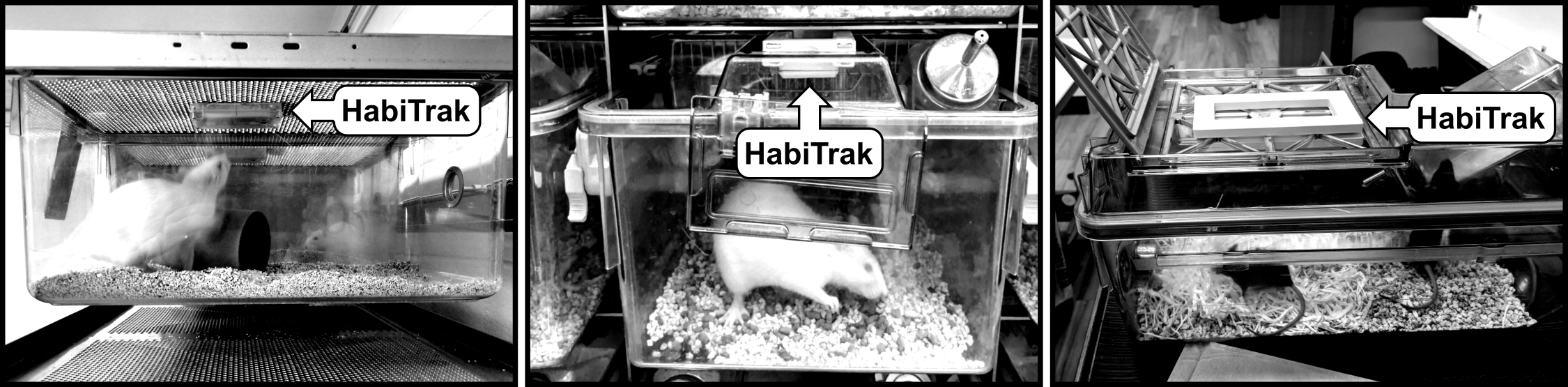 HabiTrak devices mounted in home cages