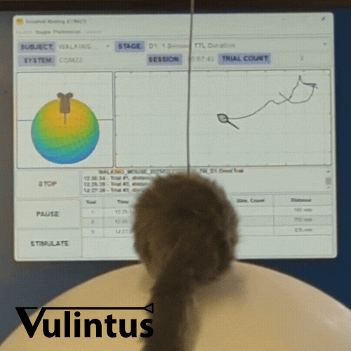 Animated spherical treadmill demonstration showing ball rotation and mouse orientation